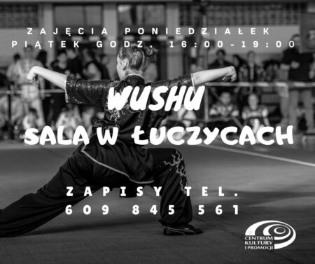 Sportowa sekcja WUSHU znów trenuje w realu